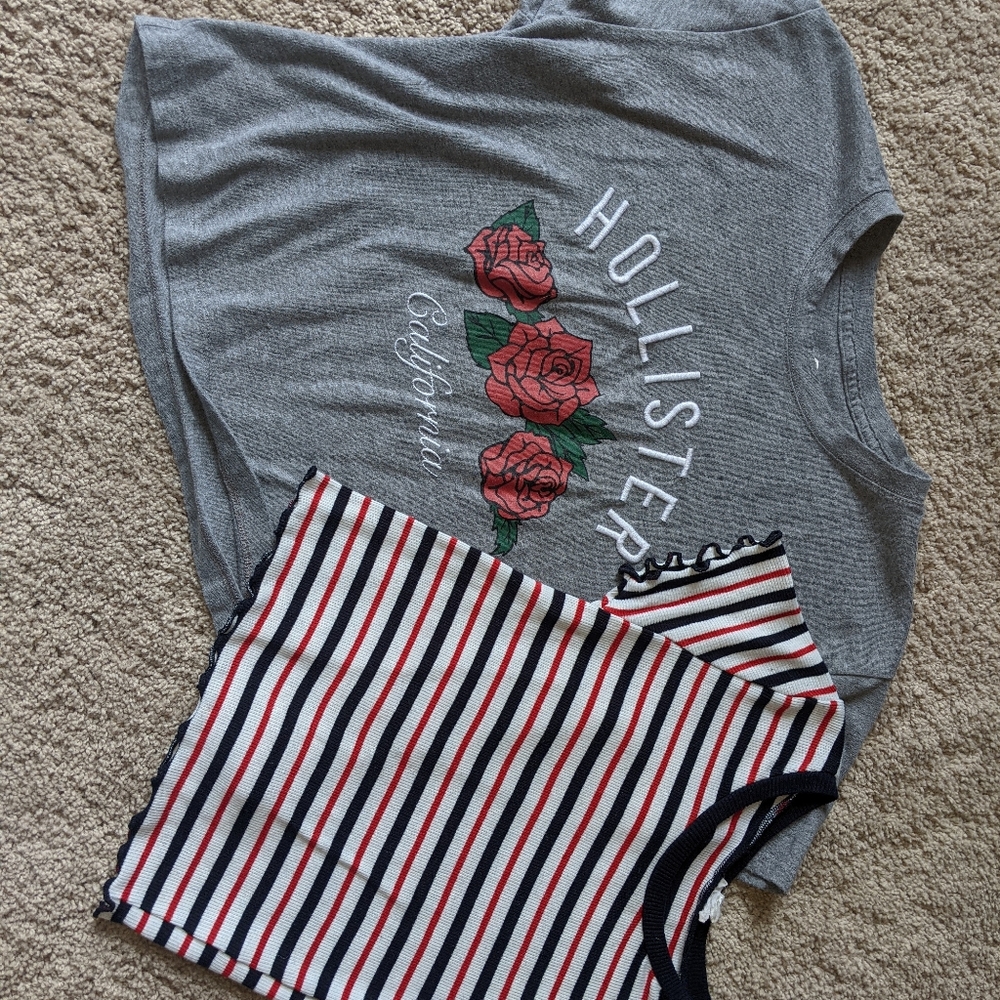 2 cropped tshirts